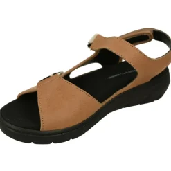 Comfort Class Zapatos Para Caminar|Sandalia De Con Doble Tira De Velcro Ajustable Especial Treking Con Planta Anatomica Extraible Y Piso De Poliureta